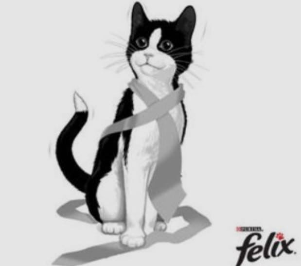 Purina Felix Fantastic boeuf,poulet,saumon,truite et Legumes 4*85g