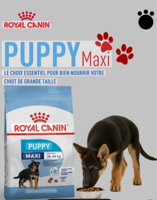 Royal CANIN MAXI puppy 15kg