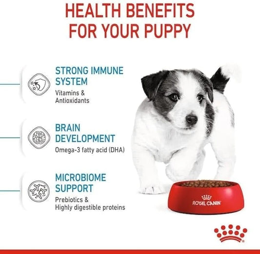 Royal CANIN MINI PUPPY 2kg