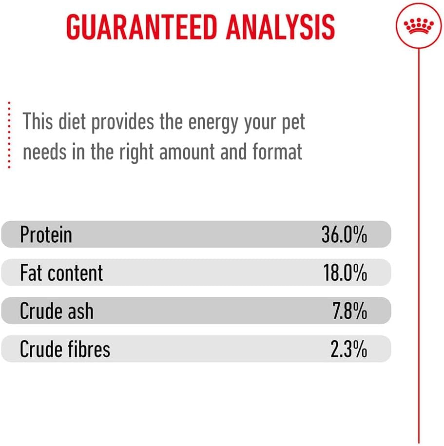 ROYAL CANIN KITTEN 10kg