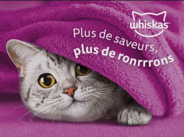 Whiskas in sauce boeuf & poulet Adult 4*85g