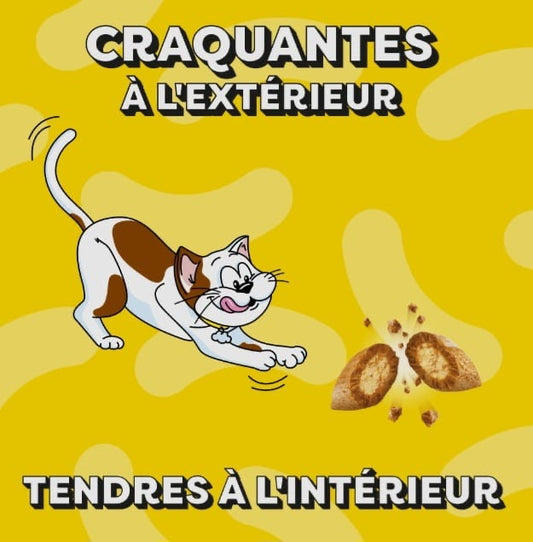 Catisfactions sHAKEUpS Multivitamins poulet,canard,herbe a chat 55g