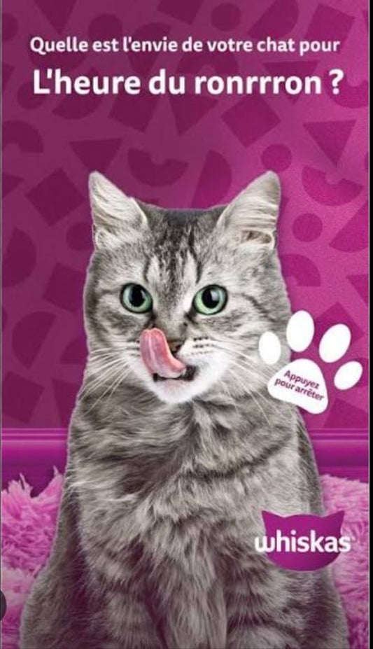 Whiskas in gelatine saumon & thon Adult 4*85g