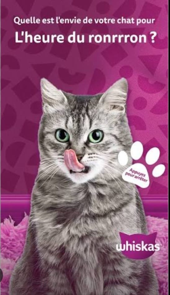Whiskas in gelatine poulet Adult 4*85g