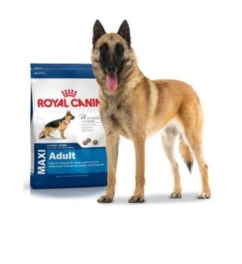 Royal CANIN MAXI Adult 15kg