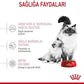 ROYAL CANIN Mother & Baby CAT 4kg
