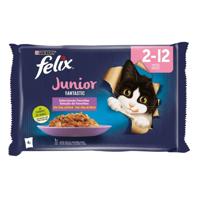 Purina Felix Junior 2-12 mois Fantastic poulet,saumon 4*85g