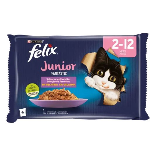Purina Felix Junior 2-12 mois Fantastic poulet,saumon 4*85g