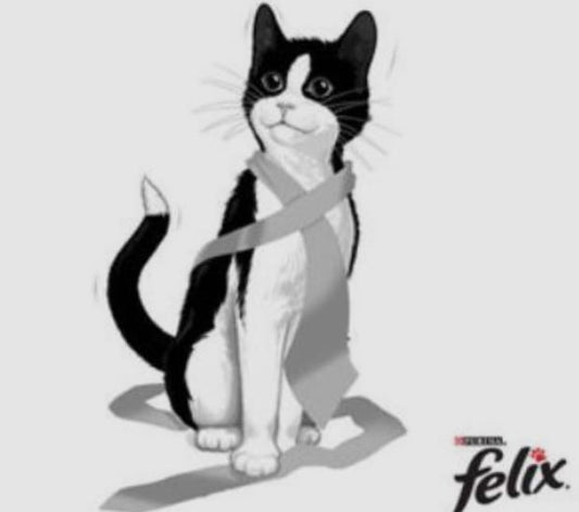 Purina Felix Fantastic boeuf,poulet,saumon,truite et Legumes 4*85g