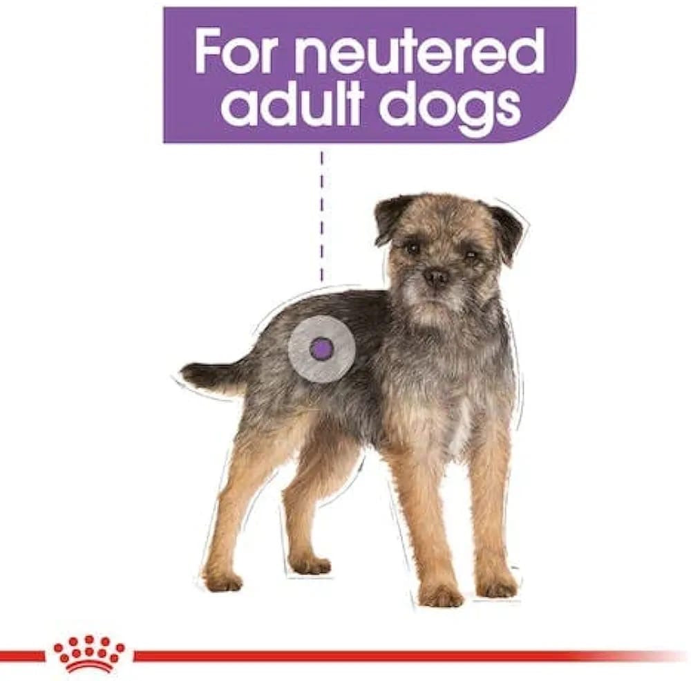 ROYAL CANIN MINI STERILISED 3kg