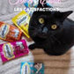 Catisfactions MIX Saumon & Fromage 60g