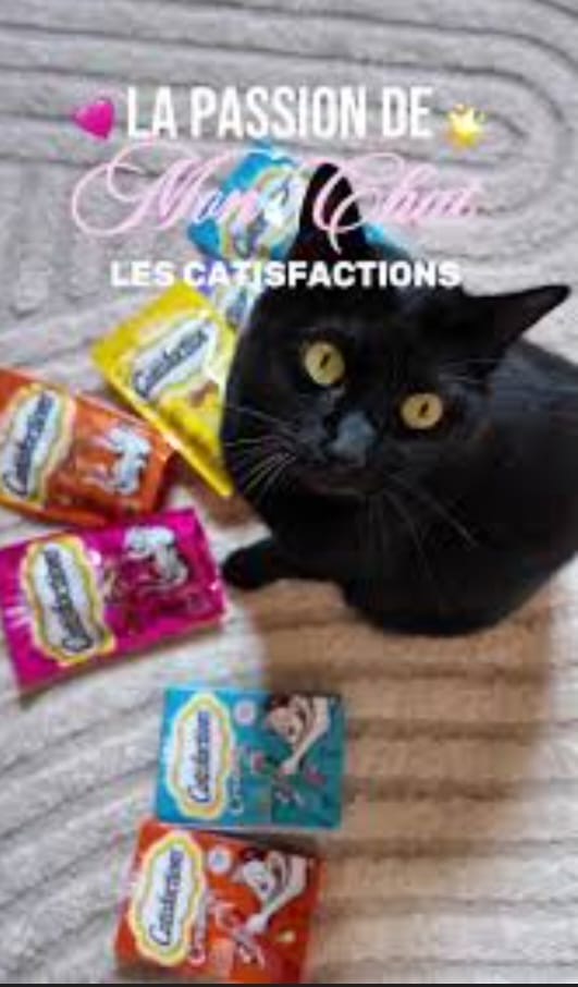 Catisfactions MIX Saumon & Fromage 60g