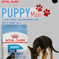 Royal CANIN MAXI puppy 15kg