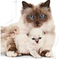 ROYAL CANIN MOTHER & BABY CAT 2kg