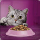 Whiskas au boeuf Adult 1.4kg
