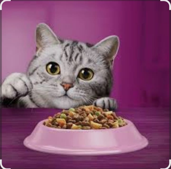 Whiskas au boeuf Adult 1.4kg