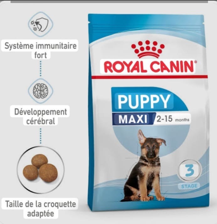 Royal CANIN MAXI puppy 15kg