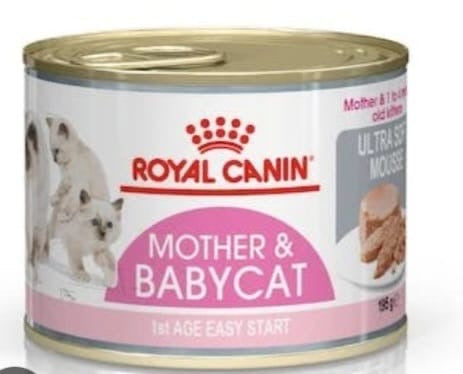 Royal CANIN Mother & Baby cat mousse 195 g