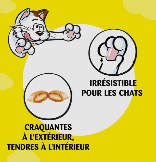 Catisfactions SAVEUR <herbe à chat>60g