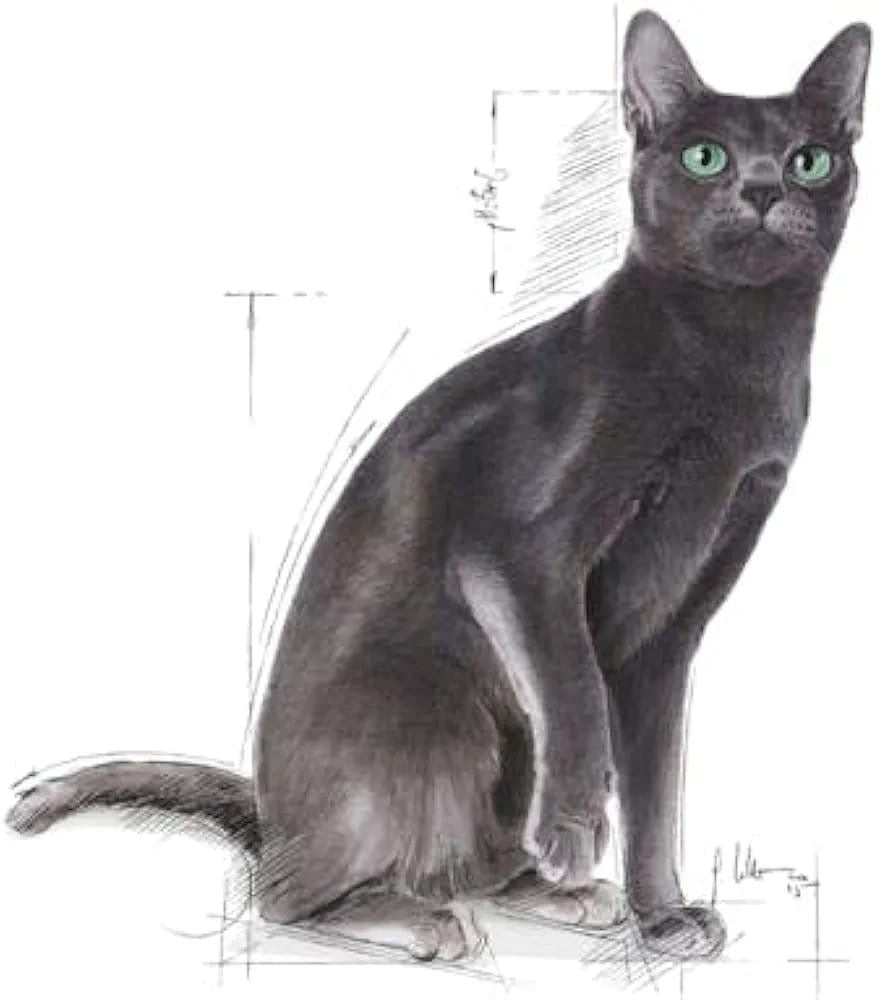 Royal CANIN Stèrilisè Adult 2kg