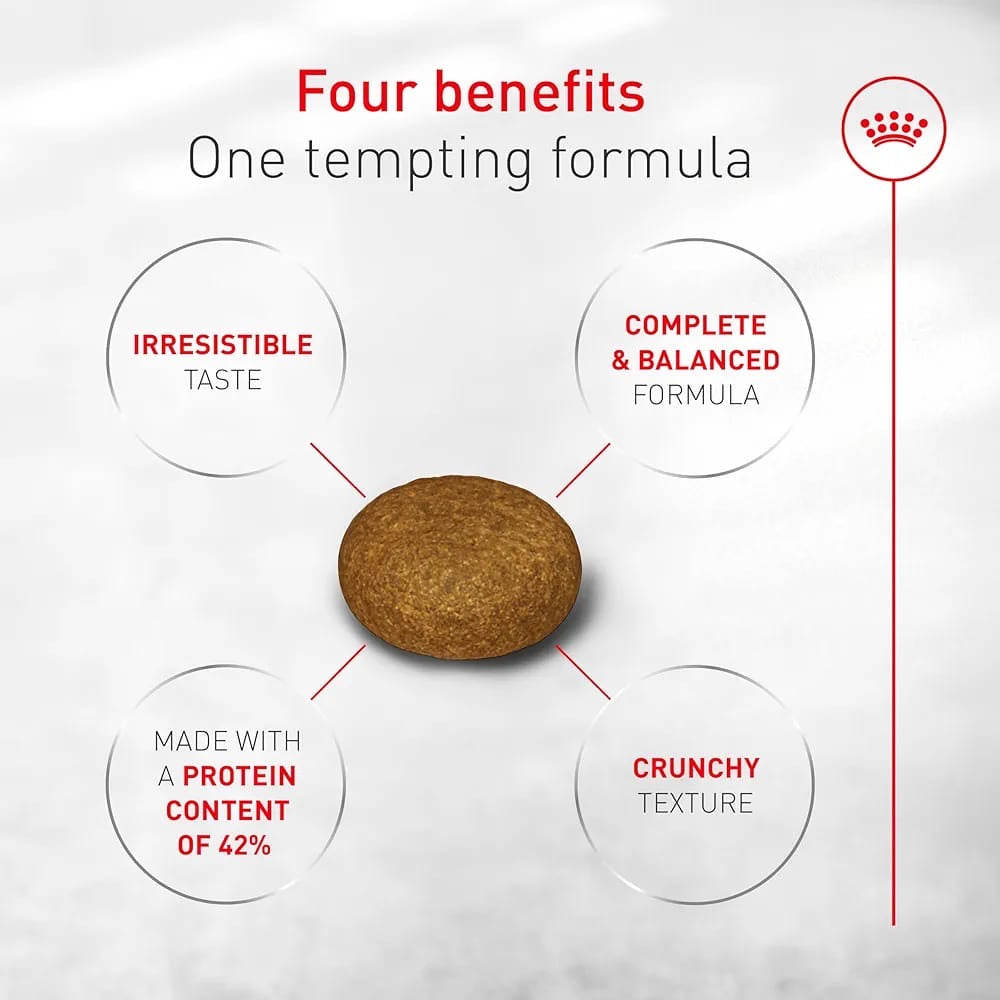 Royal CANIN FUSSY Exigent 2kg