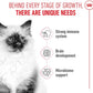 Royal CANIN KITTEN 400g