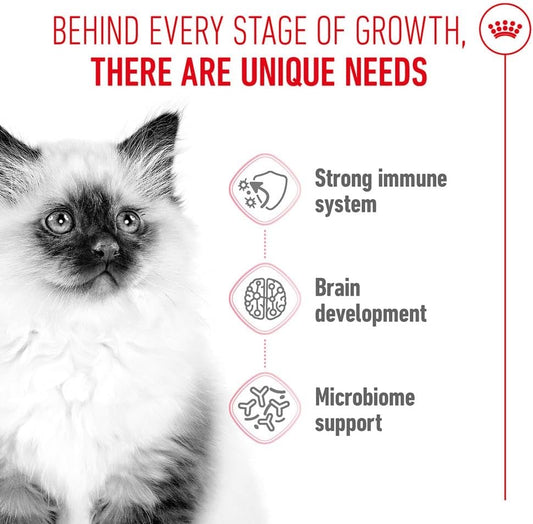 Royal CANIN KITTEN 400g