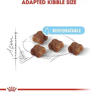 ROYAL CANIN Mother & Baby CAT 4kg