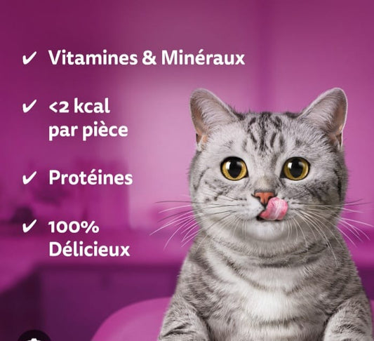 Whiskas in gelatine poulet Adult 4*85g