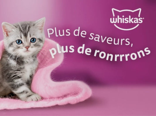 Whiskas Junior poulet & boeuf 4*85g