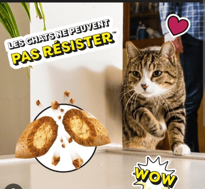 Catisfactions sHAKEUpS Multivitamins poulet,canard,herbe a chat 55g