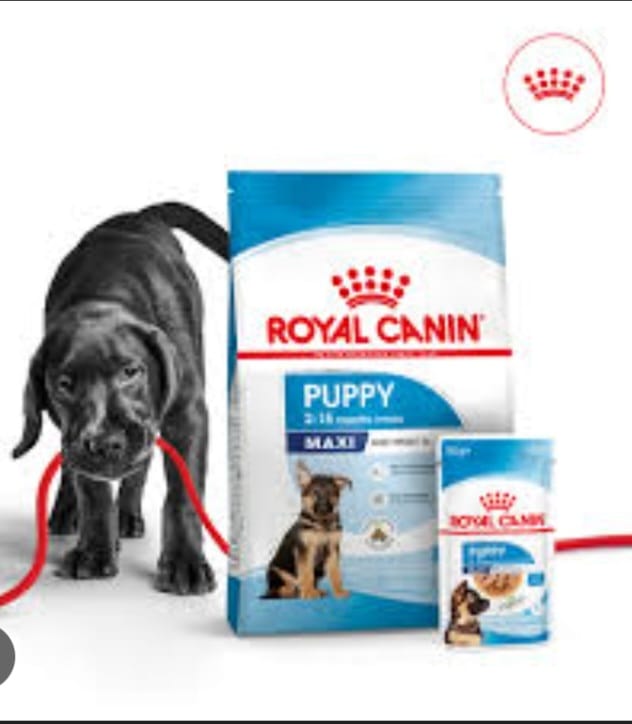 Royal CANIN MAXI PUPPY 1kg