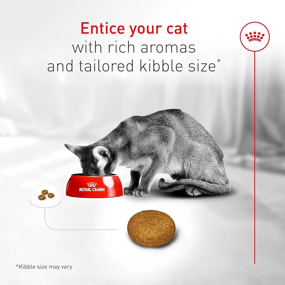 Royal CANIN FUSSY Exigent 400g