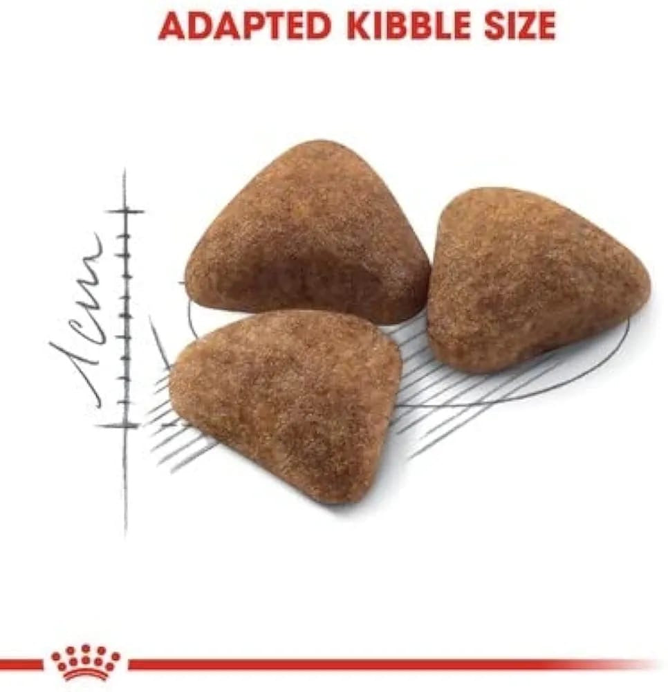 Royal CANIN INDOOR 400g